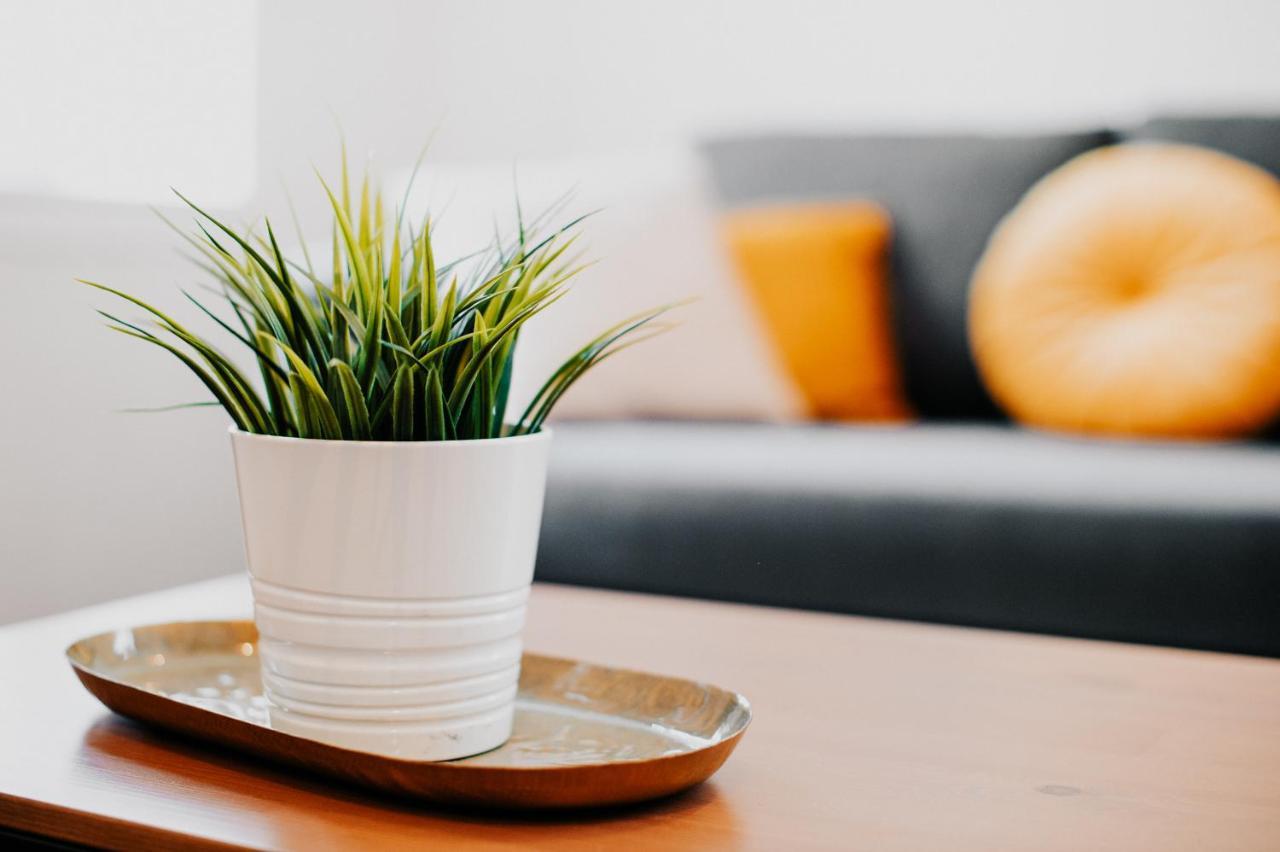 טולוז Appartement Cosy Avec Place De Parking Prive מראה חיצוני תמונה